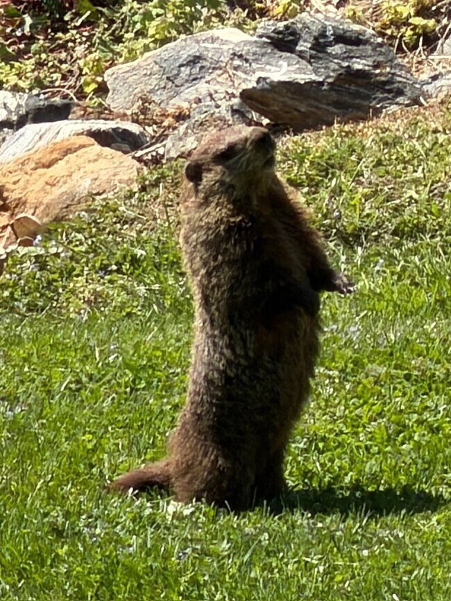 Photo - North - Crossing the Finish Line!