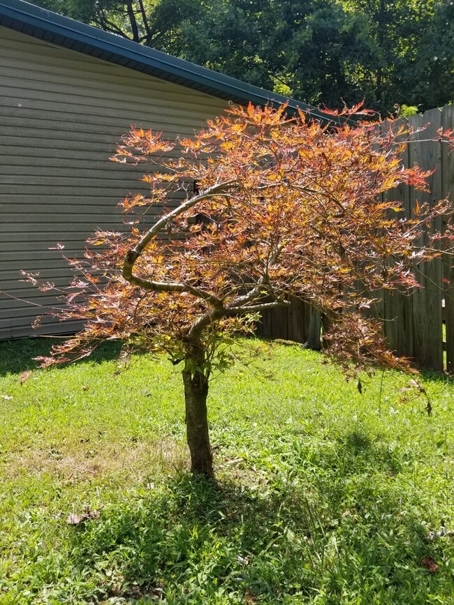 Photo - 173 Lacy Hollow Rd