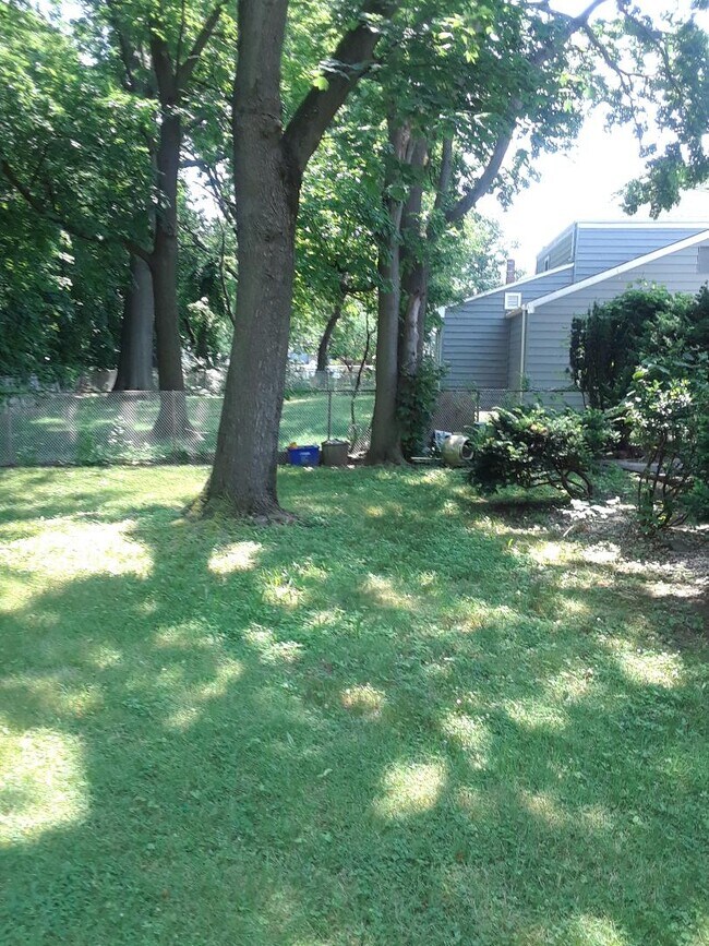 Backyard - 103 Prospect Ave Unit #1 DOWNSTAIRS