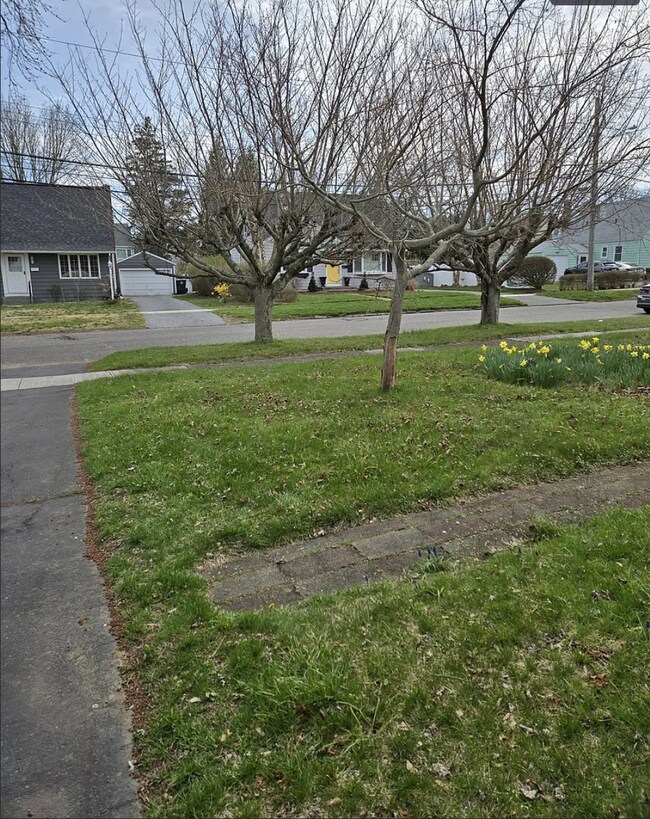 Photo - 38 Hartland St