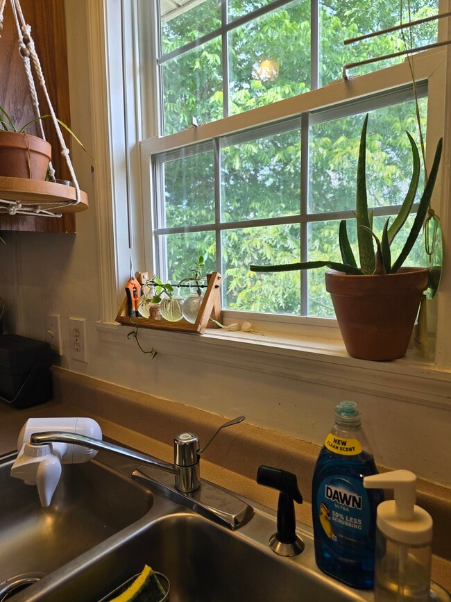 Photo - 11 Ora St Unit 11 ora cohouse