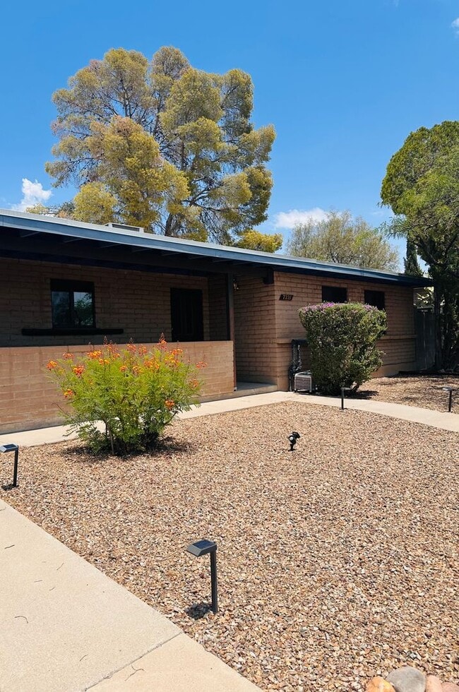 Building Photo - Beautiful and Pristine Condition - 3 bed 2 Bath - Close to Davis Monthan Air Force Base
