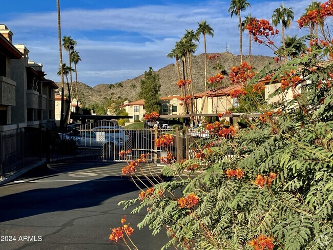 Building Photo - 10410 Cave Creek Rd Unit 2100 Rental