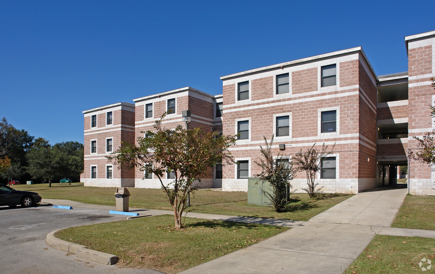Palmetto Phase III Apartments - Palmetto Phase III Apartments