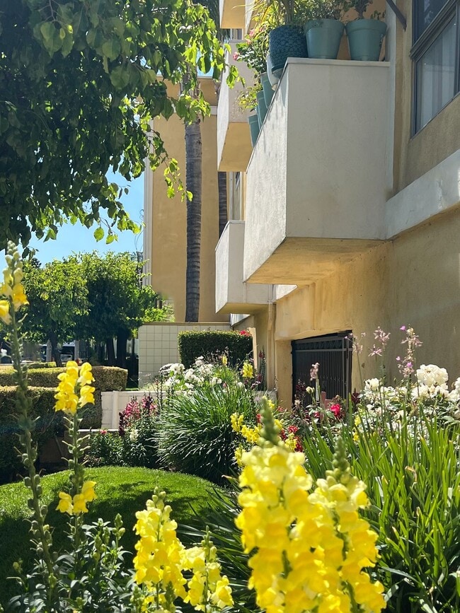 Margate Apartments