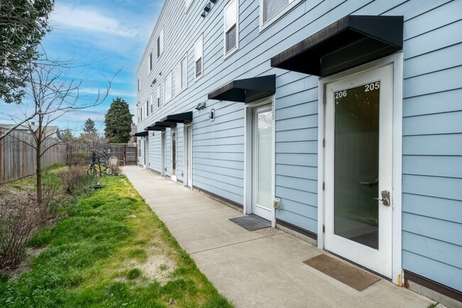 Photo - The Woodstock!