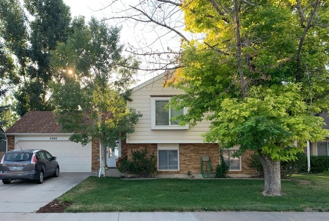 Charming 4 bed, 2 bath Home in Fort Collins - Charming 4 bed, 2 bath Home in Fort Collins