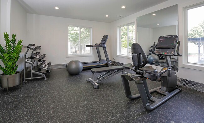 Gimnasio