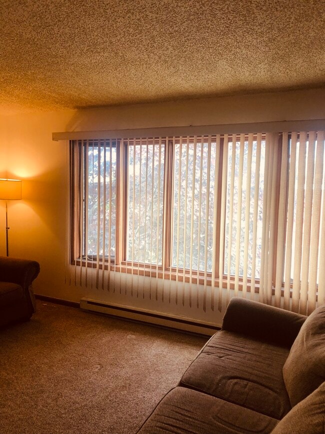 Living room - 60 Bertha St Unit C