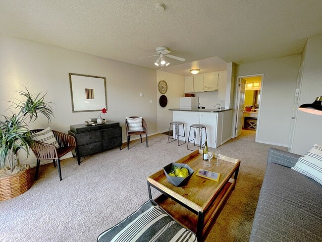 The Ray Apartments