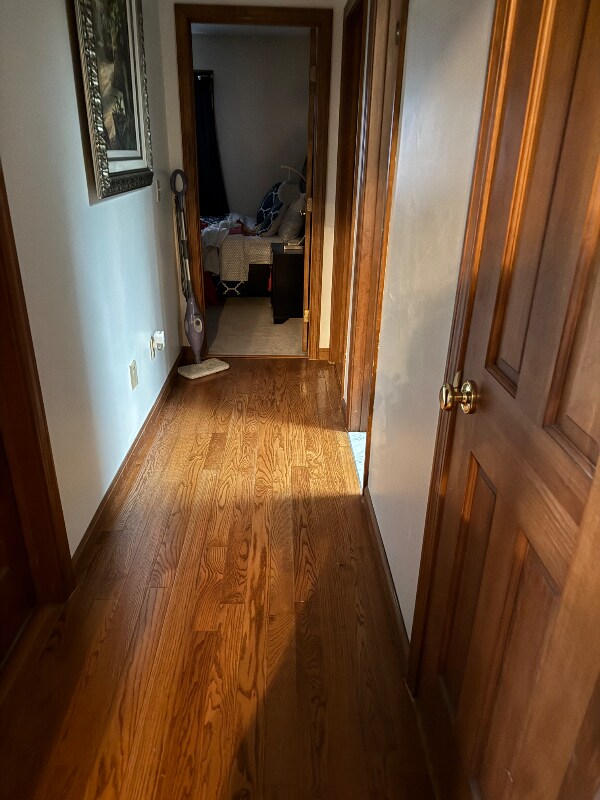 Photo - 36 Frechette Cir