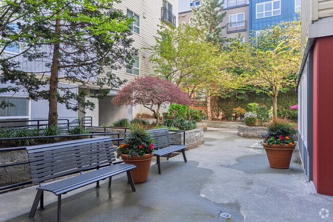 Courtyard