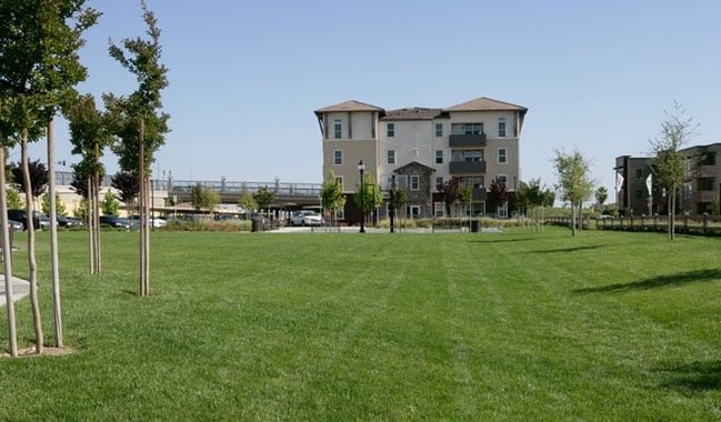 Central Park Terrace