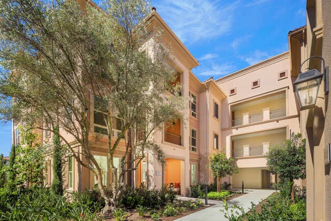Avella Apartment Homes