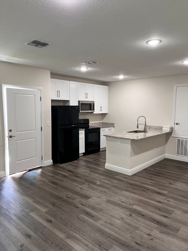 Photo - New Designer 3/2 in Kissimmee/Poinciana