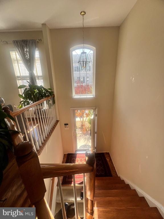 Photo - 7317 Hampton Manor Pl