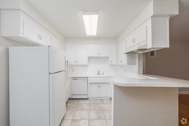 2BR, 2BA - 1,100SF - Kitchen - 8664 Falmouth Ave