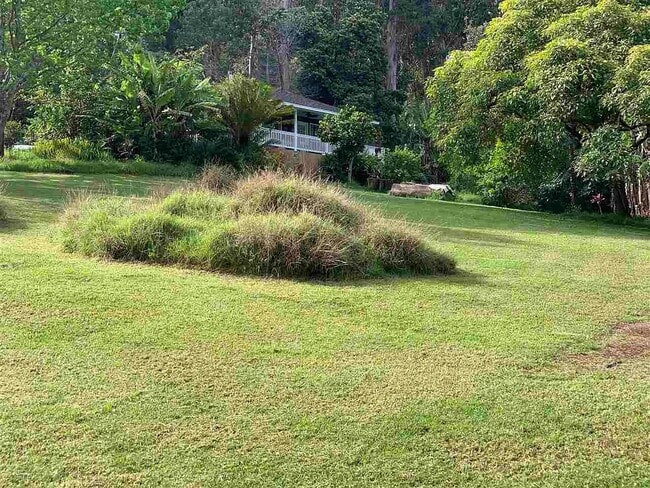 View of house from yard - 2190 Piiholo Rd