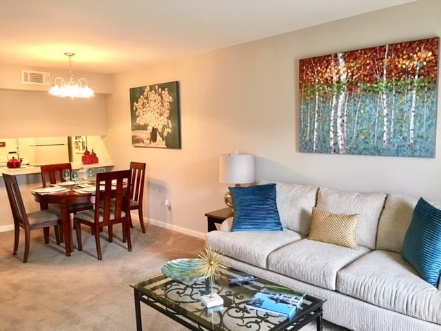Large open Living Area