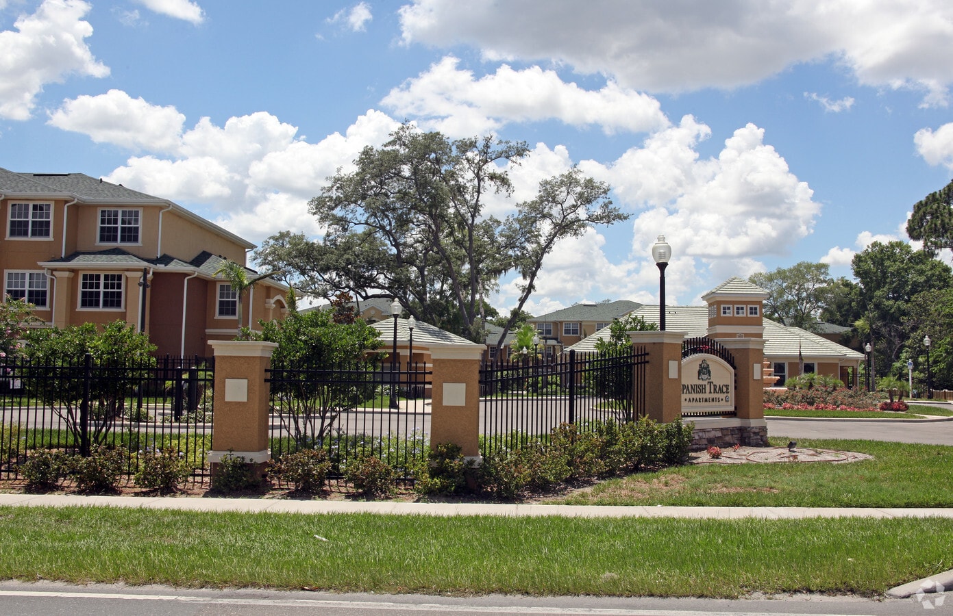 Photo - Spanish Trace