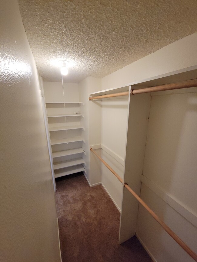 The Palms Apartments
