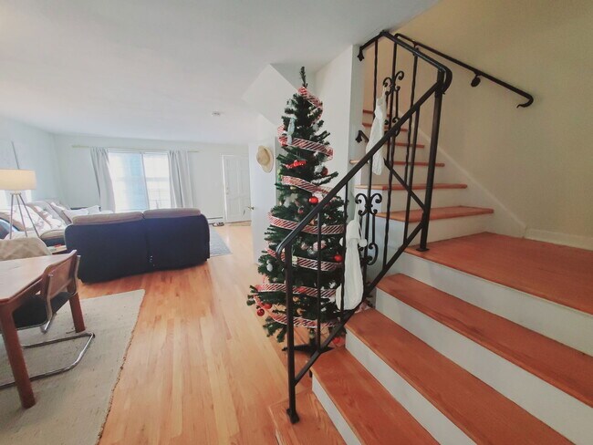 13 Elmwood St
