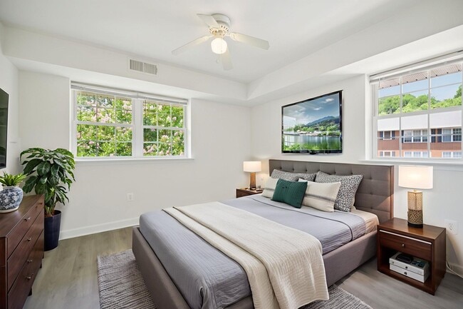 Cozy Bedrooms