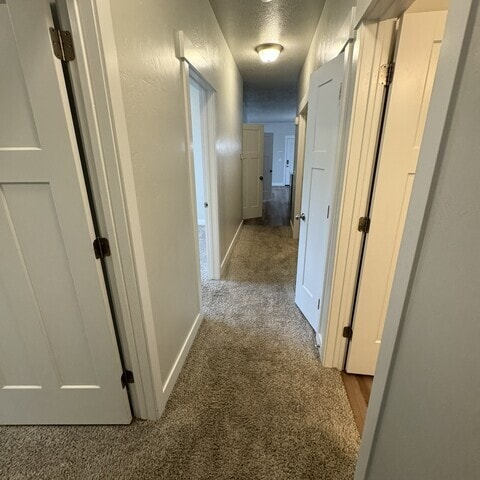 Photo - JACKSON KK 201 (PRIVATE)