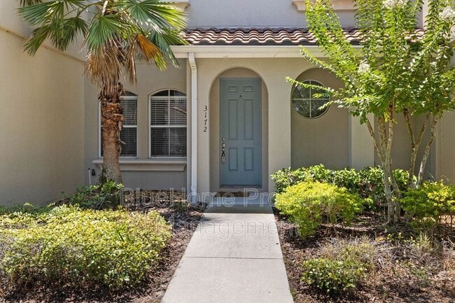 Photo - 3172 Aqua Virgo Loop