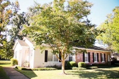 D'iberville Apartments
