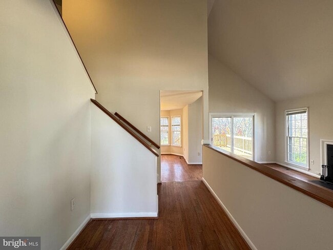 Photo - 12214 Dapple Gray Ct