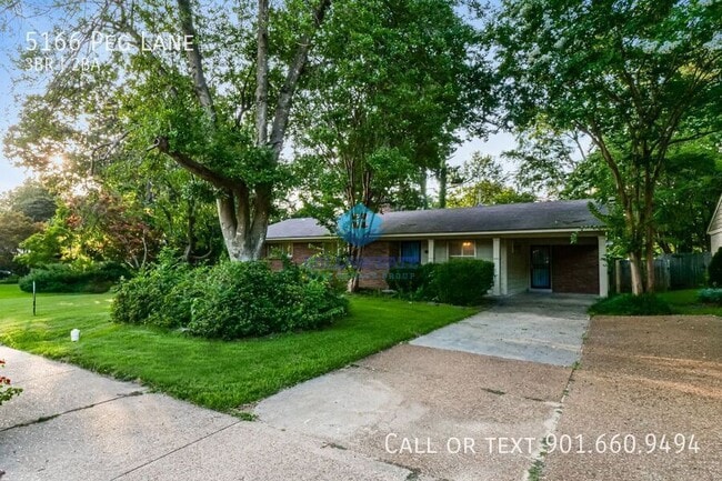 Building Photo - 5166 Peg Ln