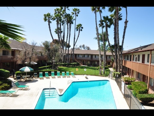 Palm Shadows Apartments