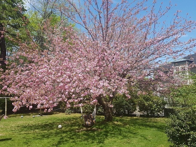 Photo - 25 Bothfeld Rd