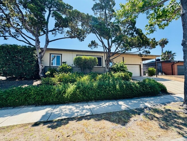4 BED / 2 BATH NEAR SDSU w/ LARGE BACKYARD... - 4 BED / 2 BATH NEAR SDSU w/ LARGE BACKYARD... House