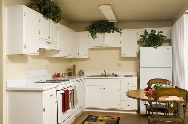 Gas range stove with overhead vent in kitchen - Walden Glen Apartments