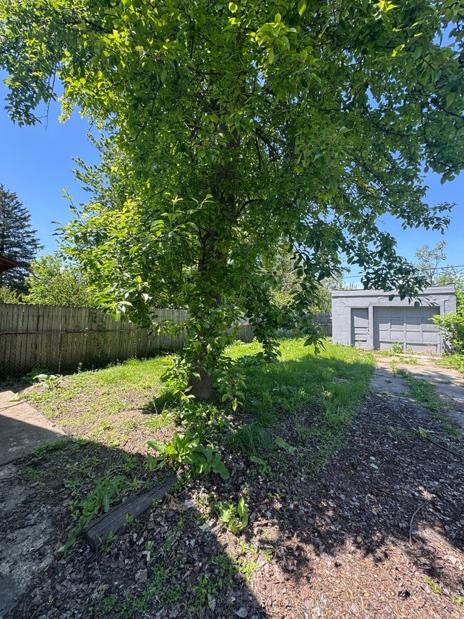 Photo - 703 Ashwood Ave