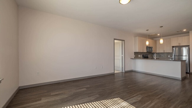 Living Area and Kitchen with Hard Surface Flooring