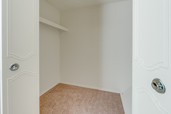 Photo - Carolina Flatz