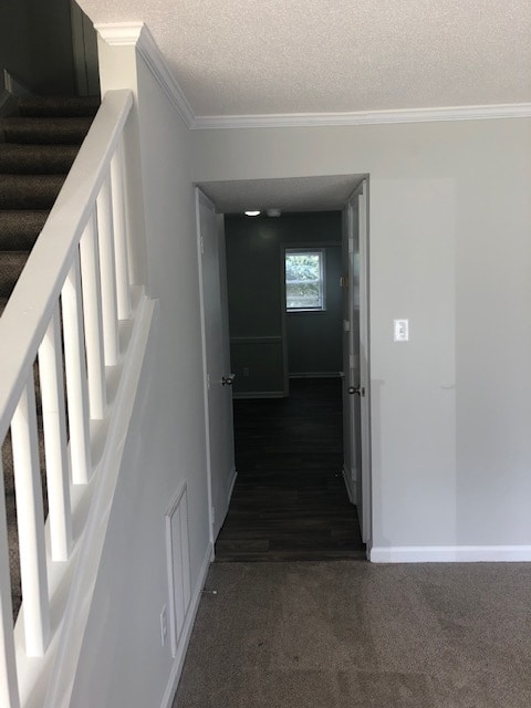 Photo - 4413 Graceland Ct