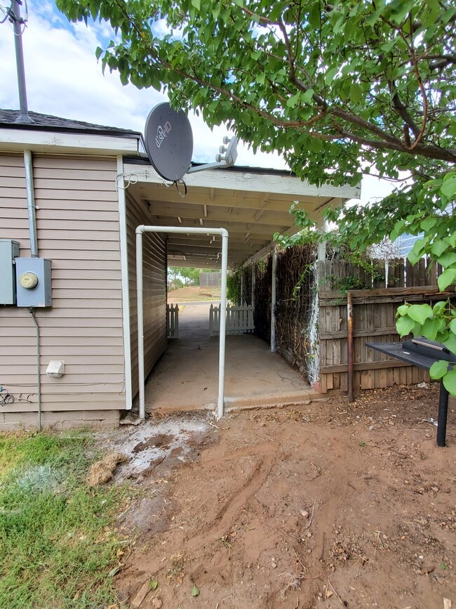Back yard