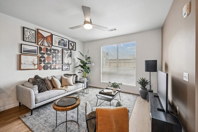 Photo - Marlon at Central Park