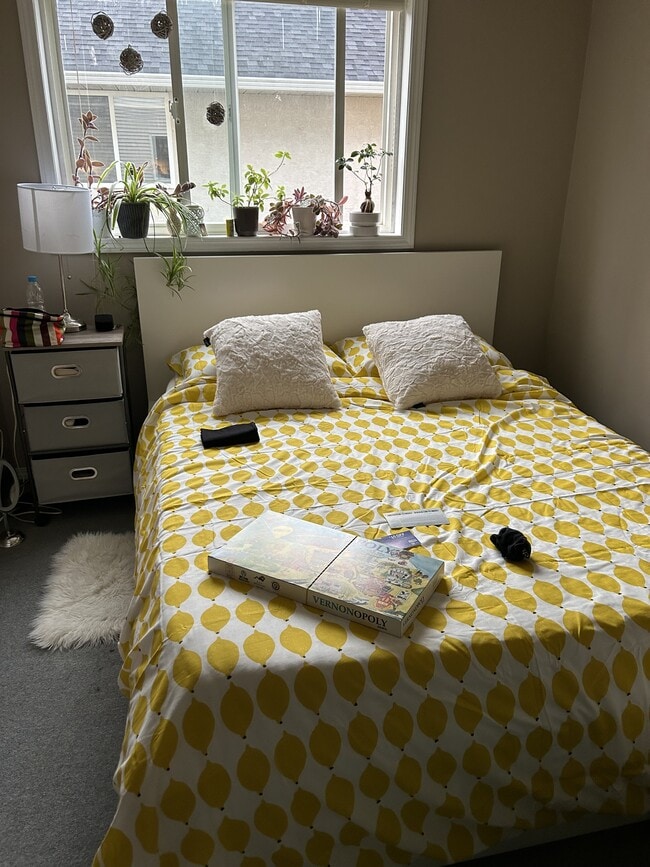 Photo - 939 Mt Bulman Dr