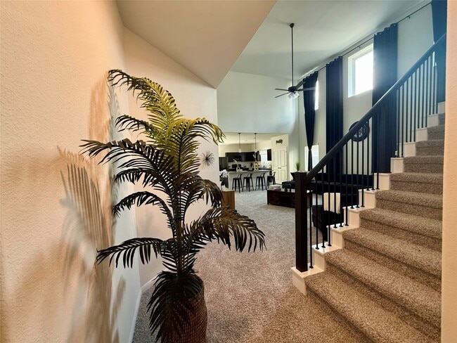 Photo - 527 Baobab Wy