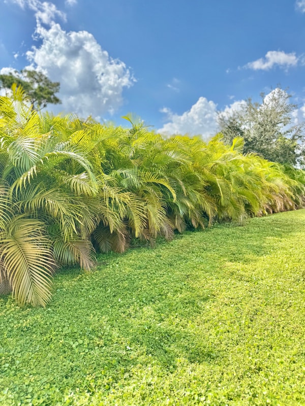 Photo - 2504 Leda Ave S