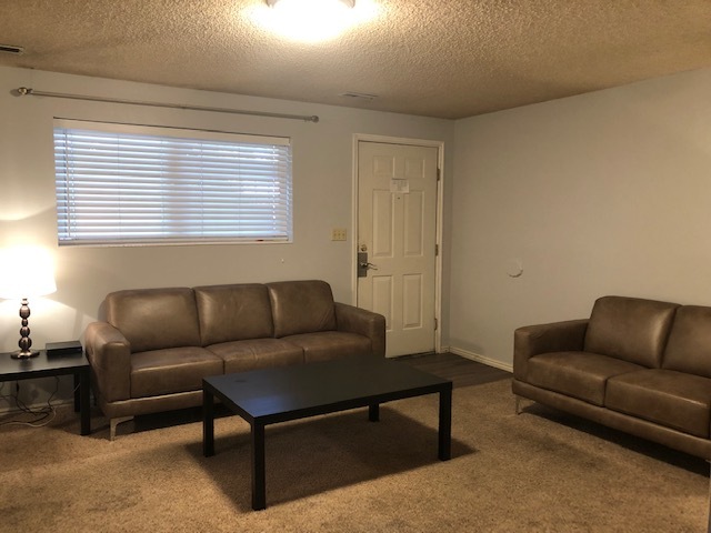 Large Living Room - 161 E 700 N Unidad 5 Rental