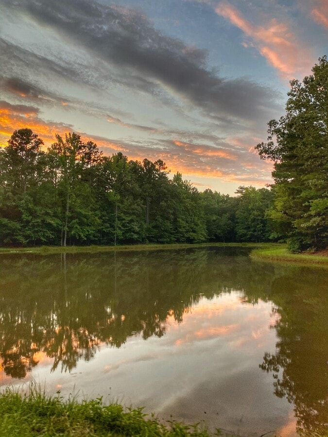 Vibrant Way #1 - Vibrant Way #1