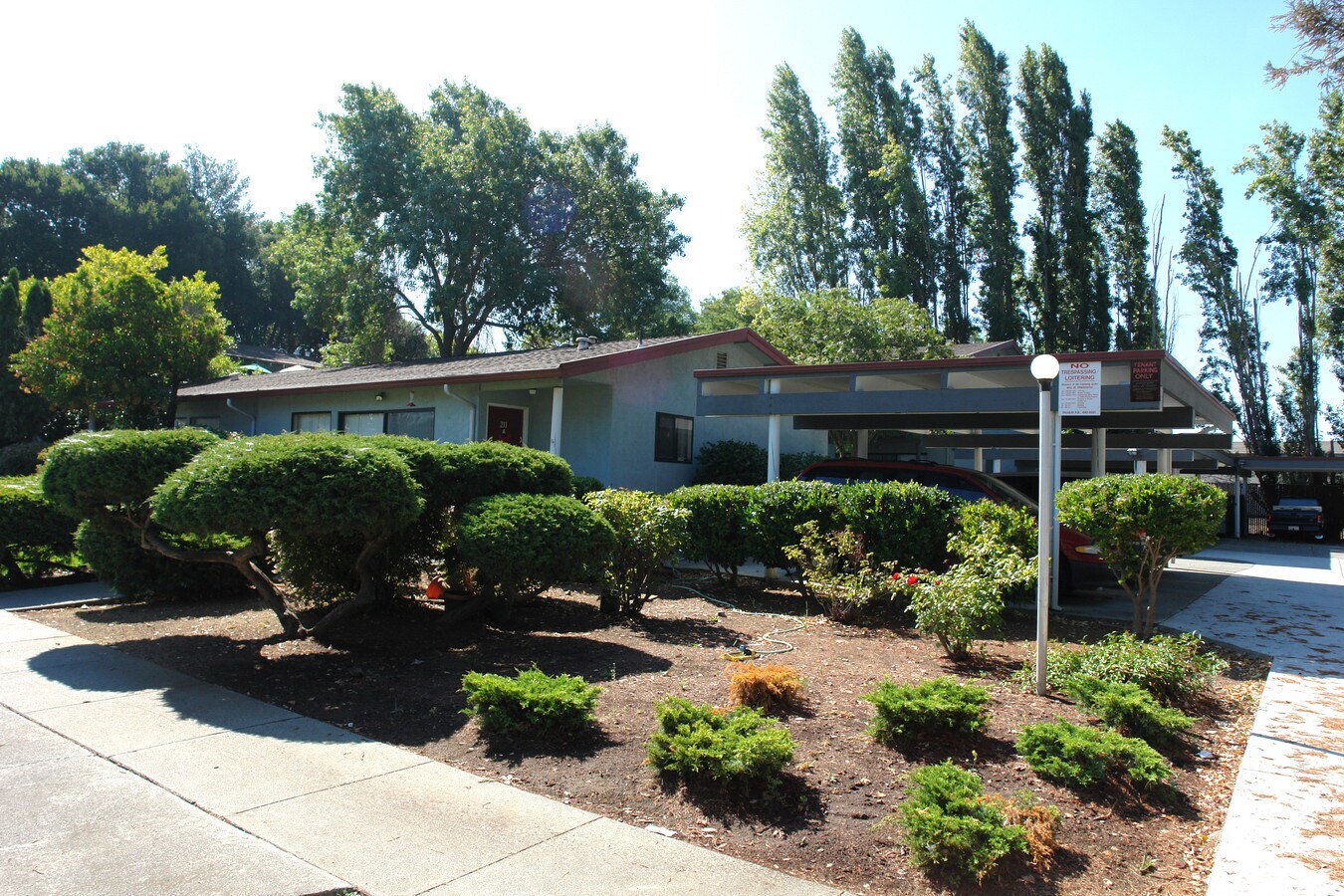Camellia apartments - Camellia apartments