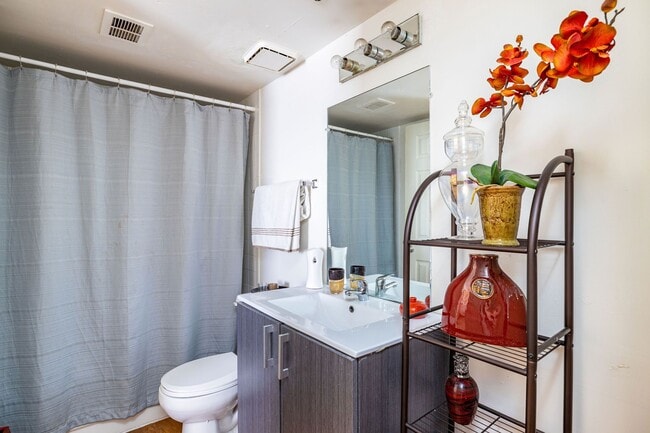 Photo - Riverside Palms