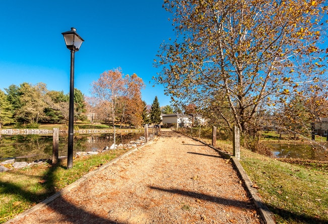 Photo - The Grove at Manchester